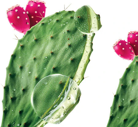 Klorane Hydrating & Shine Quenching Shampoo with Prickly Pear 200ml — image 8