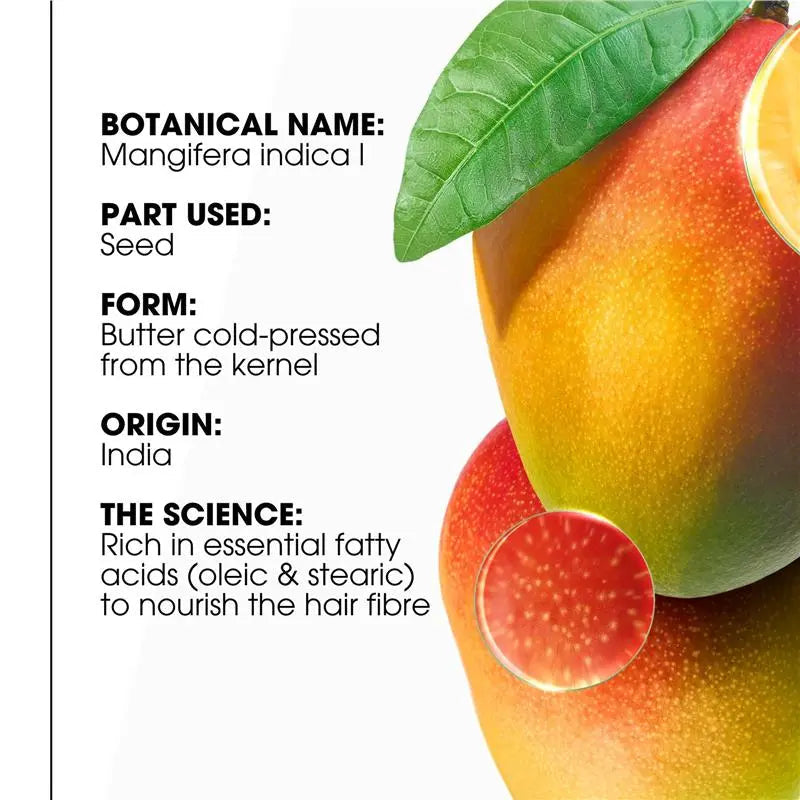 Klorane Nourishing Replenishing & Radiance Shampoo with Mango 200ml — image 4
